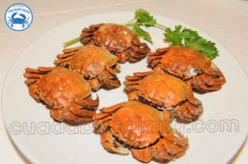 Mùa Cua Da Bắc Giang: Thời điểm tuyệt vời để thưởng thức đặc sản