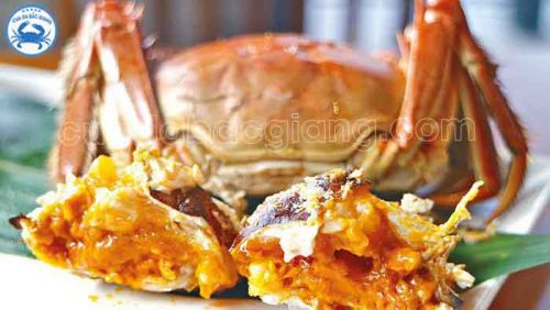 Ăn Cua Da nên ăn cua Cái vì món Trứng Cua rất bổ dưỡng