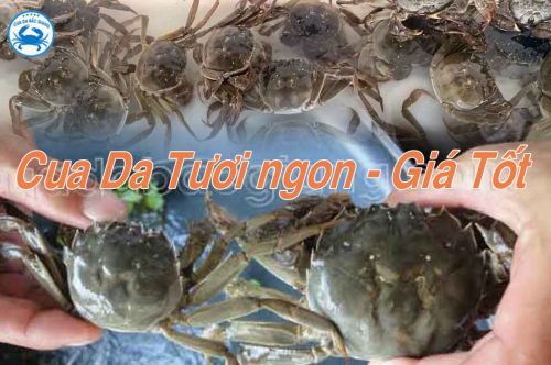 Đặc sản Cua Da Bắc Giang có giá bao nhiêu trên thị trường.