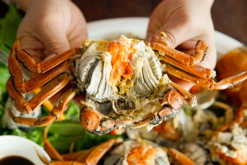 Cua Da Cuối Vụ: Hàng Chọn Trứng Nhiều – Cơ Hội Cuối Cùng Trong Năm