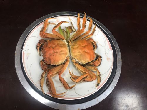 Cua Da Bắc Giang – Đặc sản trứ danh mùa thu