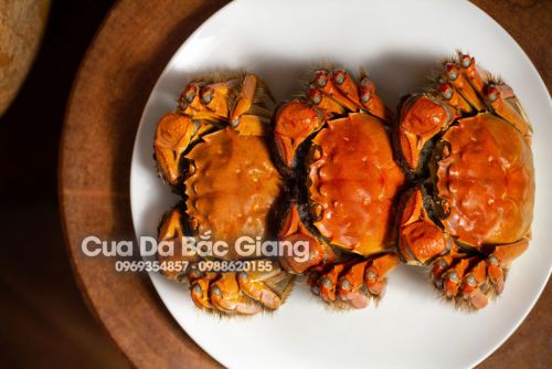 Giá trị dinh dưỡng của Cua Da – lựa chọn vàng cho sức khỏe